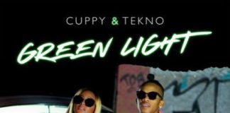 Download Instrumental: DJ Cuppy Ft Tekno – Green Light download dj cuppy ft tekno greenlight