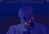 Download Instrumental: Ycee Ft MaleekBerry – Juice (Beat By SmartDAwesome) ycee ft maleekberry juice instrumental beat download