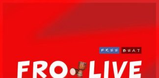Download Afro Freebeat: Fro Live (Beat By Teddy Hits) afrobeat by teddy hits