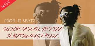 Download Instrumental: Burna Boy – Rock your Body (Beat By 12BEATZ) burnaboy rock your body instrumental