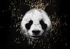 Download Instrumental: Desiigner – Panda Desiigner Panda instrumental beat