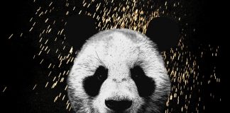 Download Instrumental: Desiigner – Panda Desiigner Panda instrumental beat