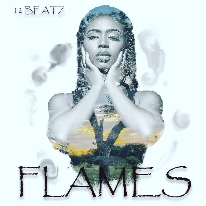12beatz flames beat