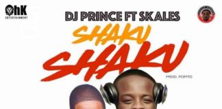 Download Instrumental: Dj Prince – Shaku Shaku ft Skales (Beat By Baj Popito) dj prince ft skales shaku shaku instrumental