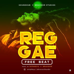 Download Reggae Freebeat Beat By Niphkeys Bravoor Instrumentals Com Ng