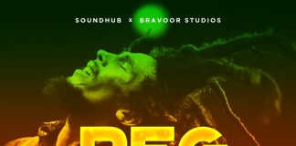 Download Reggae Freebeat: (Beat By Niphkeys & Bravoor) reggae beats instrumentals
