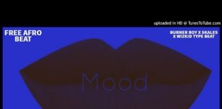 Download Freebeat: Mood – Burna Boy Type (Beat By Lyttle Evans) burna boy instrumental beat type