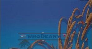 Download Freebeat: Control (Beat By WhoDeany) whodeany control freebeat
