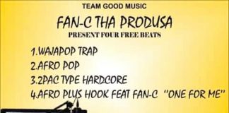 Download Freebeat: Waja Pop – Reggae (Beat By Fan-c) afro pop music by fan-c free hip hop beat