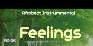 Download Afrobeat Freebeat: Feelings (Beat By Skool beatz) afrobeat instrumental