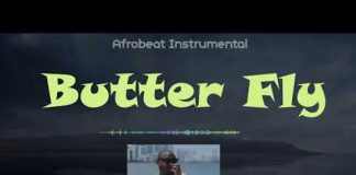 Download Afrobeat Freebeat: Butterfly (Beat By Skool Beatz) afrobeat instrumental by skool beatz via instrumentals.com.ng
