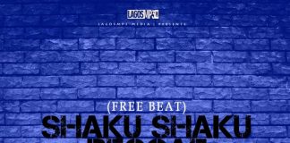 Download Freebeat: Sahku Shaku Reggae (Beat By DMG) Naija shaku shaku reggae instrumental beat