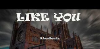 Download Freebeat: Like You By Skoolbeatz (Naija Afro Dancehall Beat) freebeat tekno and maleek berry instrumental
