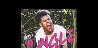 Download Instrumental: Nasty C- Jungle (Beat By WizDomination) nasty c jungle instrumental