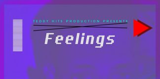 Download New Afro Freebeat: Feelings (Prod By Teddy Hits)