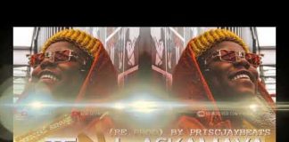 Download Instrumental: Teni – Askamanya (Beat By Priscjay Beats) Teni Askamaya instrumental