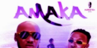 Download Instrumental: 2face – Amaka ft Peruzzi (Flip Version) (By Stan Actur) 2baba ft Peruzzi Amaka instrumental remake