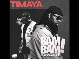 timaya type of beat
