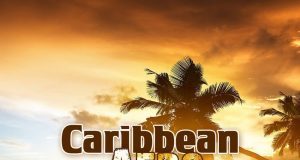 Download Afro Caribbean Dancehall Beat (Prod By Skimzea) | Burna Boy Type Afro caribbean instrumental royalty free download