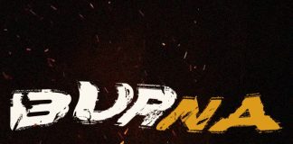Download Freebeat: Burna Vibes (Beat By MelodySongz) Download Burna Boy Type Free Beat 2018 2018