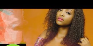 Dj Mixtape: Naija Afrobeat Mix – Dec 2018 (By Dj Perez) Latest Naija Dce 2018 Mixtape