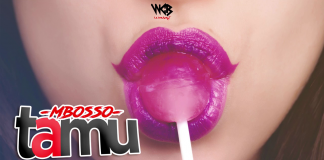 INSTRUMENTAL: Mbosso – Tamu