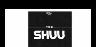 Download Instrumental: Terri – Shuu (Beat By Hitsound) Terri Shuu instrumental