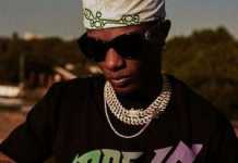 WIzkid Album Drumkit: Made In Lagos (Fl Studio x Logic x Ableton) Wizkid Made in Lagos Album Toolkit