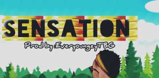 Afro Pop Instrumental 2019: Sensation (Beat By EveryoungzyTbg) Afro pop Instrumental free download