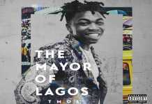 Download Instrumental: Mayorkun – Feelings (Album Intro) ft His Mum (Beat By Hemmzy) Mayorkun Feelings instrumental the mayor of lagos album