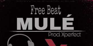 Afropop Freebeat: Mule – Prod By Xperfect (Sarz x Ycee Type Beat) Free Beat By Xperfect