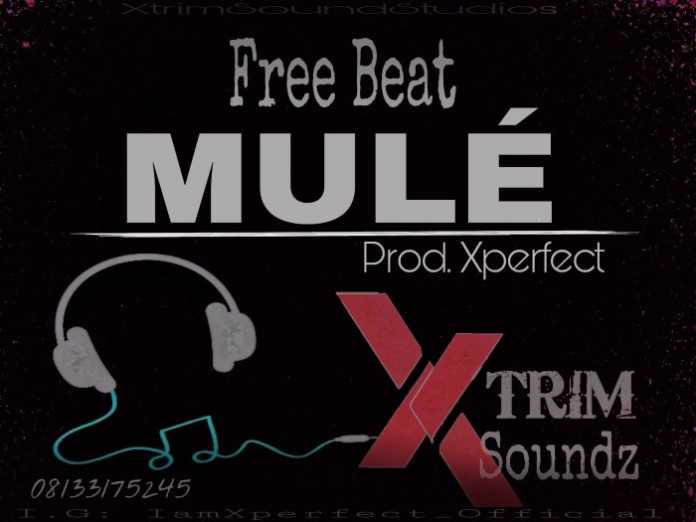 Free Beat By Xperfect