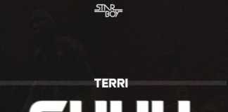 Download Instrumental: Terri – Shuu Instrumental(Beat By Hemmzy) Terri Shuu instrumental