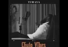Download Instrumental: Timaya – Obrigado (Beat By 2Flexing) Timaya Obrigado Instrumental