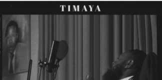 Download Instrumental: Timaya – Pull Up ft Burna Boy (Beat By Big Frozz) Timaya pull up instrumental chulo vibes album