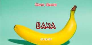 Dance Free Beats 2019: Bana (Prod By Zion) Bana dance free beats 2019
