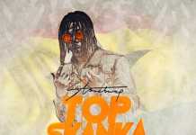 Download Instrumental: Stonebwoy – Top Skanka (Beat By Freddrix) Stonebwoy Top Skanka Instrumental