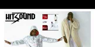 Download Instrumental: Larry Gaga ft Wizkid – Low (Beat By Hitsound)