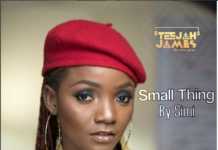 Download Instrumental: Simi — Small Thing (Beat By Teejah James) Simi Small Thing Instrumental