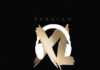 Download Freebeat: Zlatan Zanku Type Beat 2019 (Prod By XL Beatz) Legwork Free Beats Download By XL