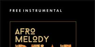 Download Freebeat: Afo Melody (Beat By T9)