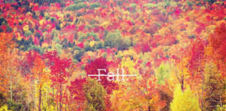 Afro Pop Beat: Fall (Prod. Solex Beat) | Davido Type Beat