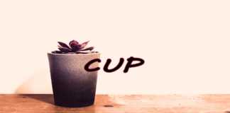 Afrobeat x Maleekberry Type Beat | “Cup” (Prod. Zion Beatz)