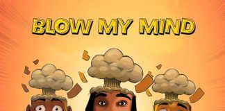 Davido Ft. Chris Brown – Blow My Mind (DJ Smith EDM Remix) Davido Chris Brown Instrumental