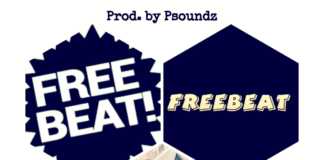 Download Freebeat: Wizkid x Rema Type Beat “Spin” (Beat By Psoundz) Free Beat By Psoundz