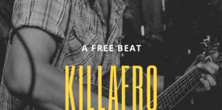 Download Freebeat: Davido Type Beat “Killafro beat” (Prod by Collynx)