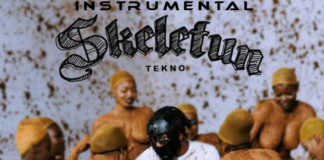 Download Instrumental: Tekno – Skeletun (Prod By Dstormbeatz) Tekno Skeletun Instrumental Beat