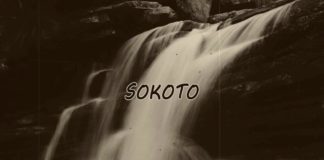 Stan Afrobeat Instrumental 2020 – “Sokoto” Runtown x Wizkid x Burna Boy Type Beat (Prod by Zion Beatz)