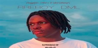 Download Instrumental: Fireboy – Vibration (Prod by Manny Beatz)
