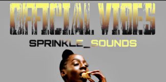 Free Afrobeat Instrumental “Official Vibes” Burna Boy x Kojo Funds Type Beat (Beat By Sprinkle_Sounds)